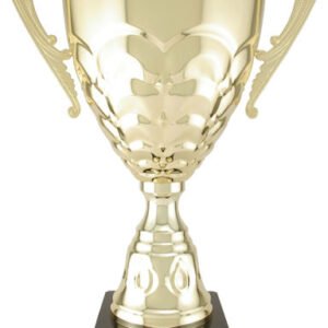 import placeholder for shopify 4536900583542